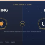 Morning vs Night Study Which Is Better